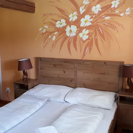 Casa de hóspedes Planicka