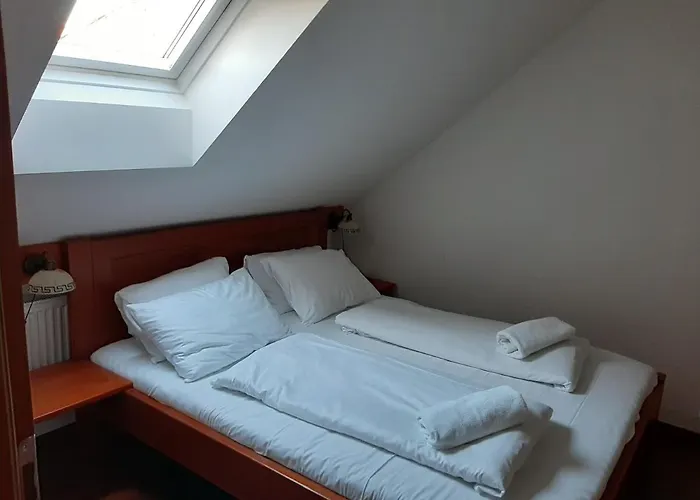 Planicka Černá v Pošumaví